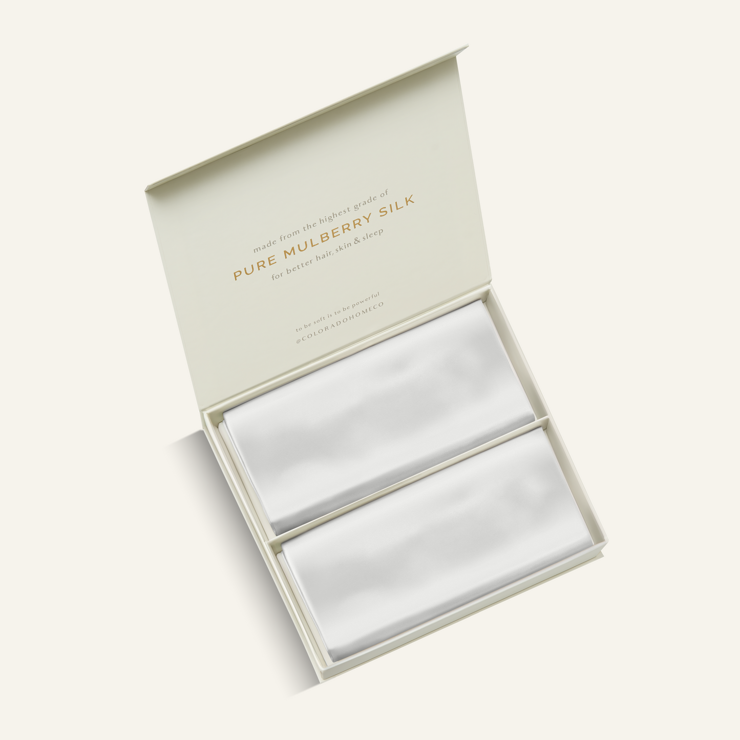 Silk Pillowcases Off White Queen (Pack of 2)