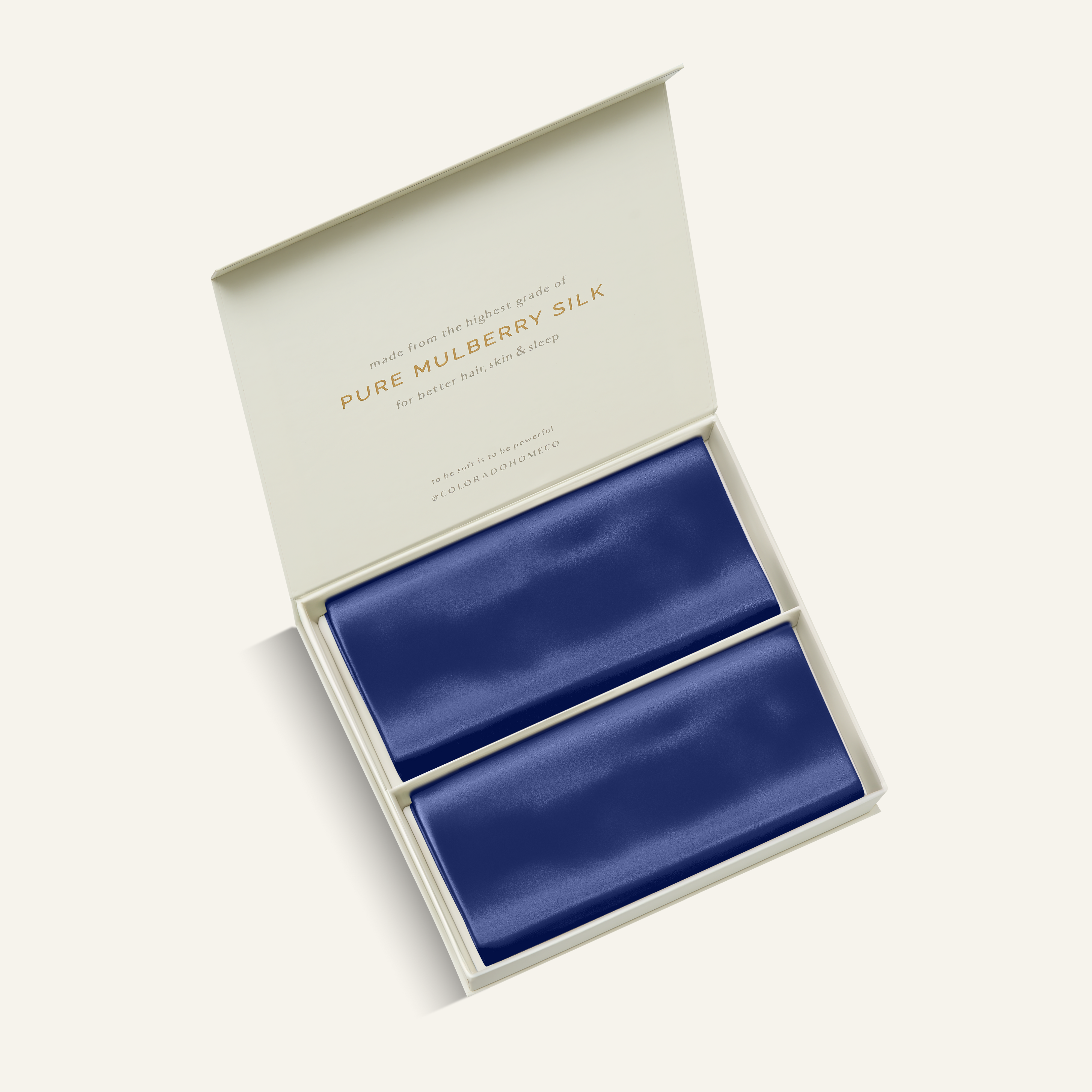 Silk Pillowcase Navy Blue Queen (Pack of 2)