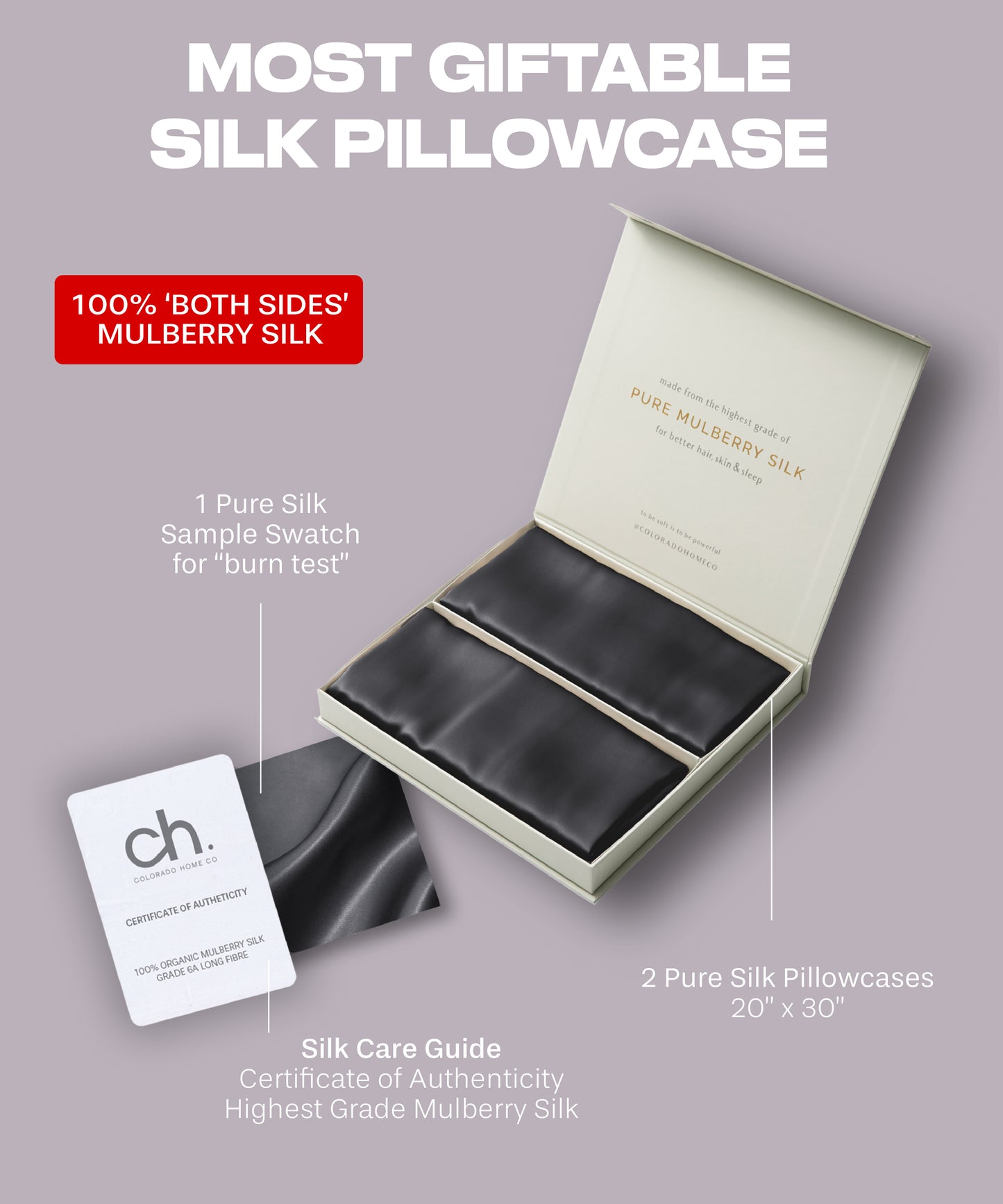 SUNDAYSILKS™ | Silk Pillow Cases 2 Pack | 22 Momme Mulberry Silk Pillowcase, Midnight Black